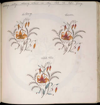 Floral illustrations on a page of a book in orange and red colours